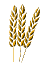 wobbling wheat